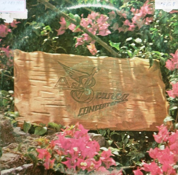 Asa Branca Concerto (1981)